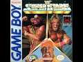 WWF Superstars (Game Boy) - Macho King Randy Savage