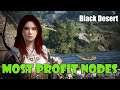 [Black Desert] How to Choose The Best Nodes to Invest in for Profit | AFK Worker Empire