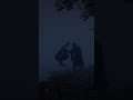 Gavin is a minor character mentioned in Red Dead Redemption 2