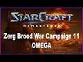 Let's Play StarCraft Brood War Remastered - Zerg Campaign Mission 10 (Final): Omega