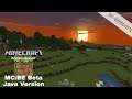 [Minecraft Bedrock Edition — Add-Ons Review]: MC:BE Beta Java Version | By: QuentinFTL