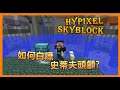 Minecraft Hypixel Skyblock 如何白瞟 史蒂夫頭顱?【章魚  オクトパス】