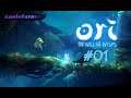 Ori and the Will of the Wisps #001