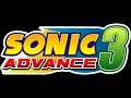 Special Stage - Sonic Advance 3