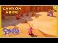 SPYRO THE DRAGON REIGNITED | Let's Play (8) | Canyon aride !