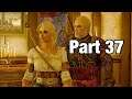 The Witcher 3: Wild Hunt Part 37 Walkthrough Gameplay [No Commentary]