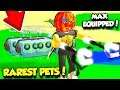 USING A FULL TEAM Of The RAREST PETS In MAGNET SIMULATOR!! *SO OP* (Roblox)