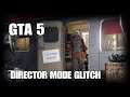 GTA 5 - HOW TO DO DIRECTOR MODE GLITCH