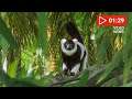 Planet Zoo feiert Geburtstag mit kostenlosem Kuchen und Lemuren | News
