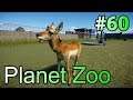実況 動物観察の刑に処す！「Planet Zoo」#60