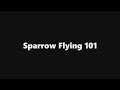 Sparrow Fly Tutorial - Destiny 2