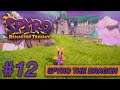 Spyro The Dragon [Reignited Trilogy]  Part 12 - (Magic)
