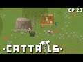 Tackling Tasks For The Colony | Cattails Ep 23