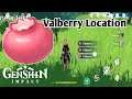 Valberry Locations - Genshin Impact