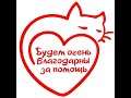требуется помощь