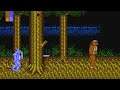 Castle of Dragon (NES) Playthrough longplay retro video game