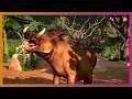π¦ GamesCom Round Up | Planet Zoo Update