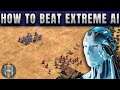 How To Beat The Extreme AI [Aoe2DE]