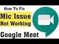 How to Fix Mic Not Working problem in Google Meet || Fix Mic Issues in Google Meet