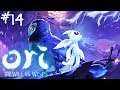★[Ori and the Will of the Wisps]★ #14 - Let's Play | Gameplay [Full HD]