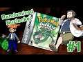 Pokémon Emerald Randomized Nuzlocke Live Stream!