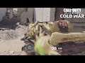 Scary Gun (Multiplayer: Blueprint Ammo Gun Game on Diesel) | Call of Duty: Black Ops Cold War on PS4