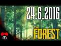 The Forest | 24.6.2016 | #Agraelus #KordusCZ #Aizeen