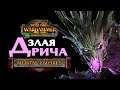 Дрича - злые духи лесных эльфов - прохождение Total War Warhammer 2 Империи Смертных - #1