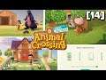 Квест Си-Джея на поиски рыбы, новые товары, фарм [14, Animal Crossing: New Horizons]