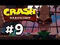 BUMBLING BRIO WITH CONSTANT DEATH - [CRASH BANDICOOT] #9