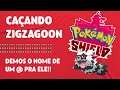Caçando Zigzagoon - Pokémon Shield 1