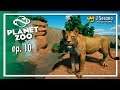 CORONA FRI ZONE ☣️ :: Planet Zoo Episode 10