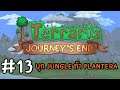บุก Jungle ท้า Plantera : Terraria 1.4 #13