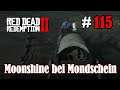 Let's Play Red Dead Redemption 2 #115: Moonshine bei Mondschein [Frei] (Slow-, Long- & Roleplay)