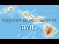 MS Flight Simulator 2020 || Hawaiian Islands Tour III - O'AHU
