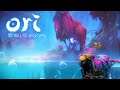 Ori and the Will of the Wisps | Part 22 | MORE BUBBLES