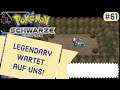 Pokemon Schwarz Lets Play #61 | Kobalium was machst du da?