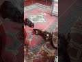 #shorts #mom are... #gorgeouskykhan #talks with #kitten #cats while they are #cat #fight #game and..