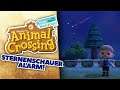 STERNENSCHAUER ALARM! 🏝 12 • Let's Play ANIMAL CROSSING NEW HORIZONS