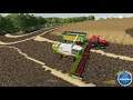 Suedharz #1 | Harvest |  Farming Simulator 19 Timelapse | FS19 Timelapse