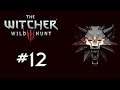 The Witcher 3 : Wild Hunt Türkçe Bölüm 12 Cadıyla Maskeli Elfin Peşinden