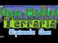 Creating the worst mod list in Terraria