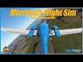 From field to flight - I go flying! | Learning to fly in Microsoft Flight Simulator