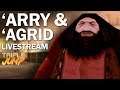 Harry Potter And The Philosopher's Stone: 'ARRY & 'AGRID ADVENTURES | TripleJump Live