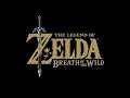 Riding (Night) - Zelda: Breath Of The Wild Soundtrack