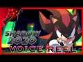 Shadow the Hedgehog (2020) Voice Reel!