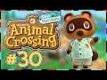 The Great Island of Corcanipus - Animal Crossing New Horizons - Turnips, Plazas and Mystery