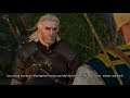 The Witcher 3: Wild Hunt Complete Edition Review Nintendo Switch