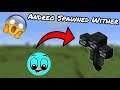 AndreoBee spawned more Withers? Destruction in SMP? (Herobrine SMP)