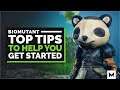 Biomutant: Tips And Tricks To Help You Get Started | Biomutant Beginners Guide